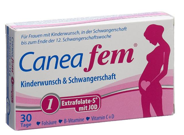 Image of Caneafem 1 Kinderwunsch & Schwangerschaft (30 Stk)
