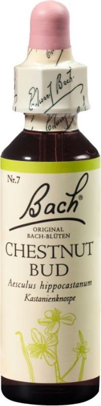 Image of Bach-Blüten Original Chestnut Bud No 07 (20 ml)