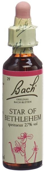 Image of Bach-Blüten Original Star of Bethlehem No 29 (20 ml)