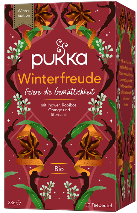 Pukka Winterfreude Bio Tee (20 Beutel)
