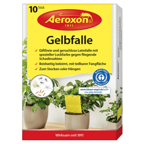 Aeroxon Trappola gialla per piante da vaso (10 pz)