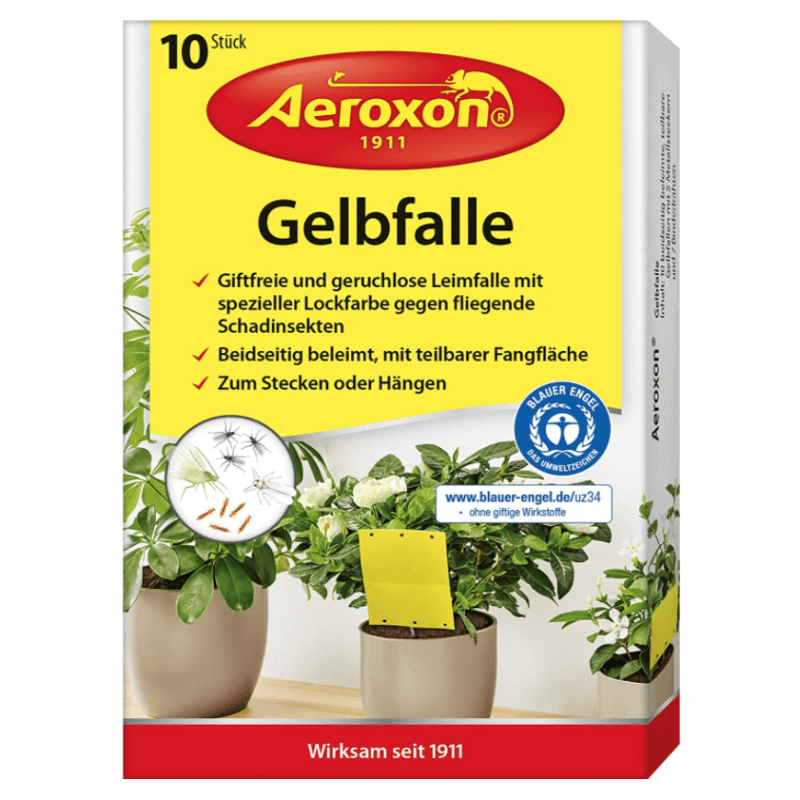 Aeroxon Gelbfalle für Topfpflanzen (10 Stk)