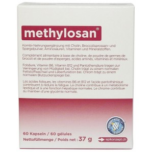 Methylosan (60 capsules)