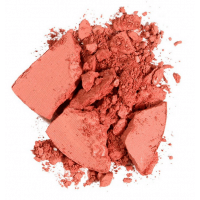 Artdeco Silky Powder Blush 20 (Terracotta Cheeks)