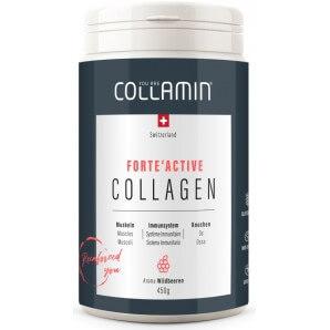 COLLAMIN COLLAGEN Forte'Active (450g)