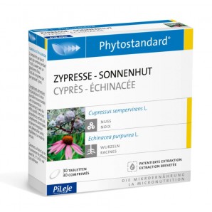 Phytostandard Zypresse-Sonnenhut (30 Stk)
