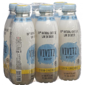 VIVITZ Bio Water+ Koffein Zitrone-Ingwer (6x5dl)