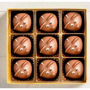 Aeschbach Chocolatier Müsli Box (9 Stk)