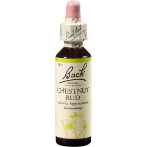 Bach-Blüten Original Chestnut Bud No 07 (20 ml)