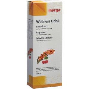 morga Sanddorn Wellness Drink (380ml)
