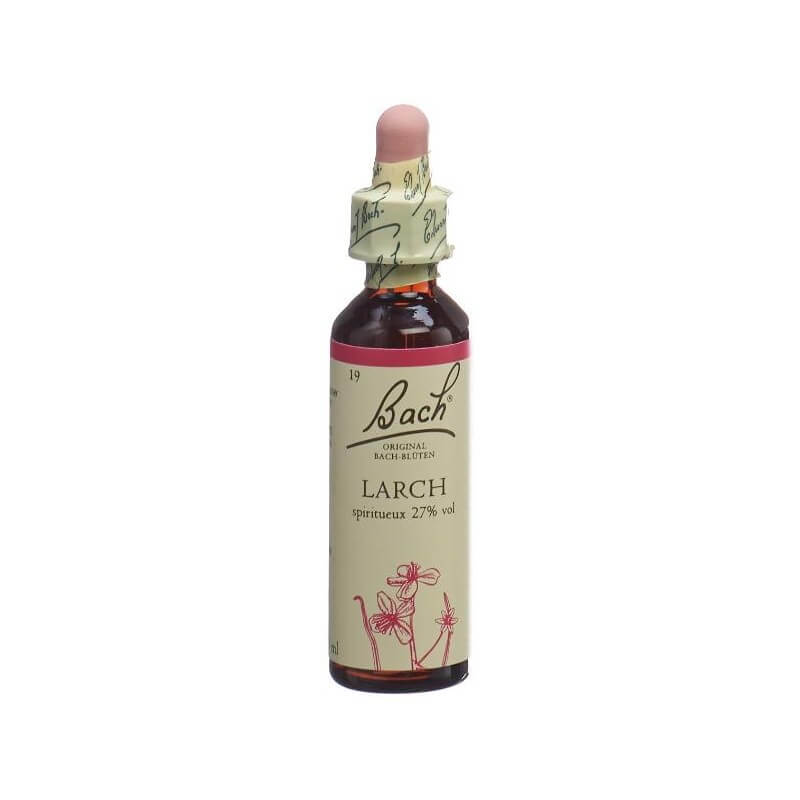 Bach-Blüten Original Larch No 19 (20 ml)