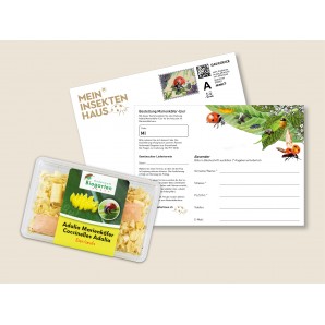 Ladybug eggs voucher (1pc)