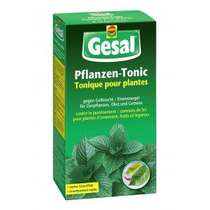 Gesal Tonico vegetale (5x20g)