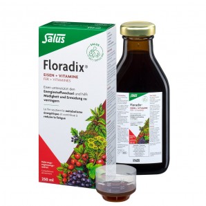 Floradix Eisen + Vitamine (250ml)