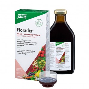 Floradix VEGAN Eisen + Vitamine (500ml)