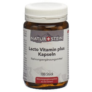 NATURSTEIN Lacto Vitamin plus Kapseln (100 Stk)