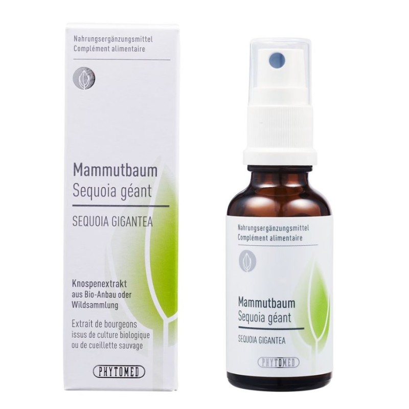 Phytomed Knospenextrakt Mammutbaum Spray (30ml)