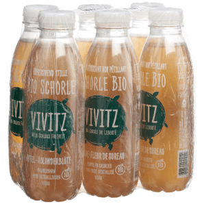 VIVITZ - Bio Eistee Schorle Apfel Holunderblüte (6x5dl)