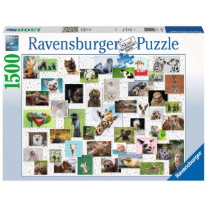 Ravensburger Puzzle - Funny Animals Collage 1500 Teile (1 Stk)