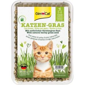 Gim Cat Katzengras mit natürlicher Gerstengras-Saat (150g)