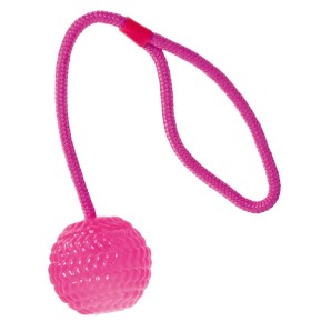 Swisspet Ball mit Wurfseil, pink (1 Stk)