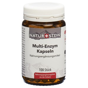 NATURSTEIN Multi- Enzym Kapseln (100 Stk)