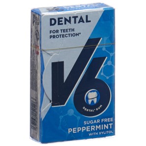 V6 Dental Care Pfefferminze (24 Stk)