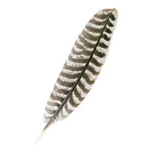 Aromalife Turkey feather (1...
