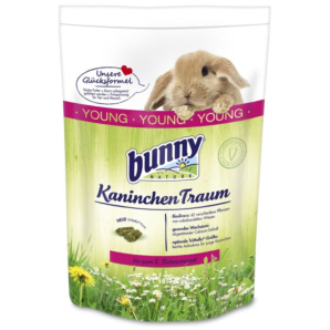 bunny Kaninchen Traum Young...