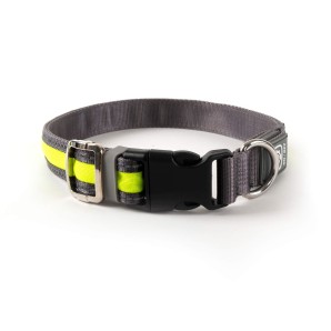Freezack Light​-​Collar Leuchthalsband gelb, Halsumfang 45cm-60cm (1 Stk)