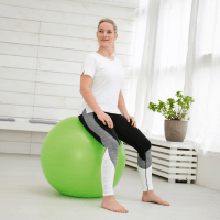 Sissel Securemax exercise ball 55cm (lime / green)