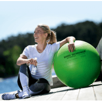 Sissel Securemax Ballon d'exercice 55cm (citron vert / vert)