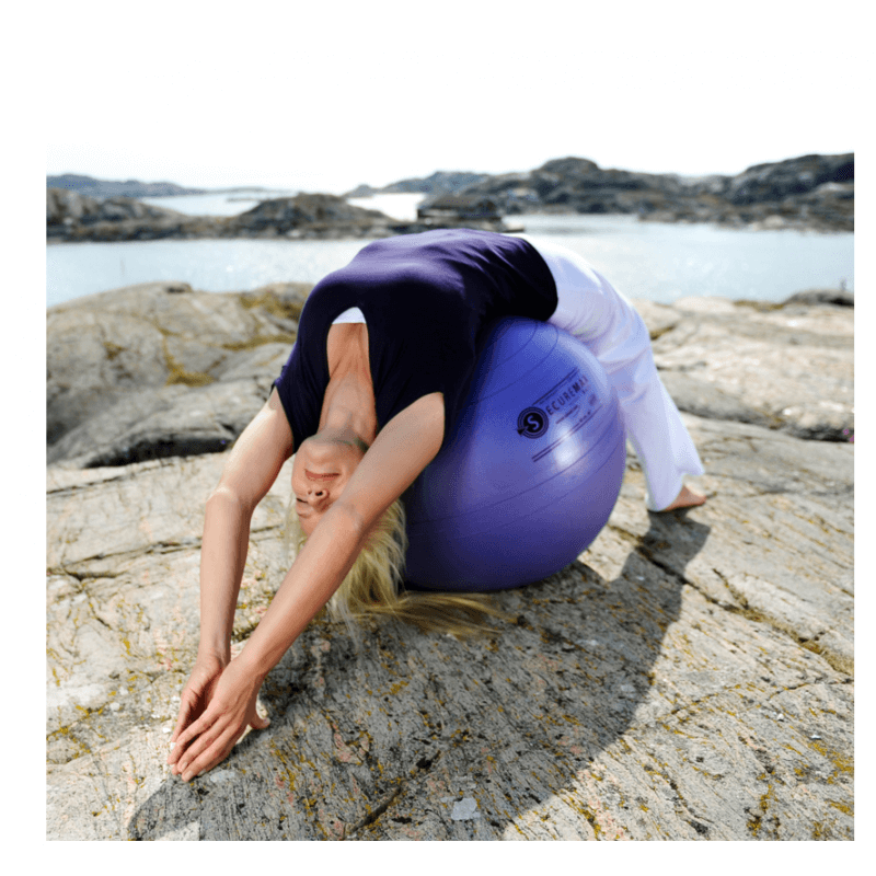 Ballon de gymnastique Sissel Securemax 65 cm (bleu, violet)