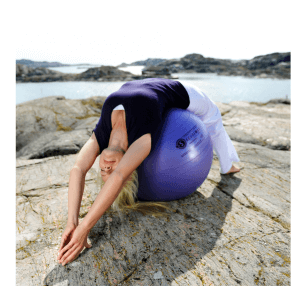 Sissel Securemax Ballon de gymnastique 75 cm (bleu, violet)