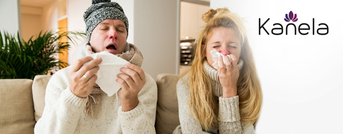 ERKÄLTUNG ODER GRIPPE? SO DIAGNOSTIZIEREN SIE IHRE ERKRANKUNG RICHTIG