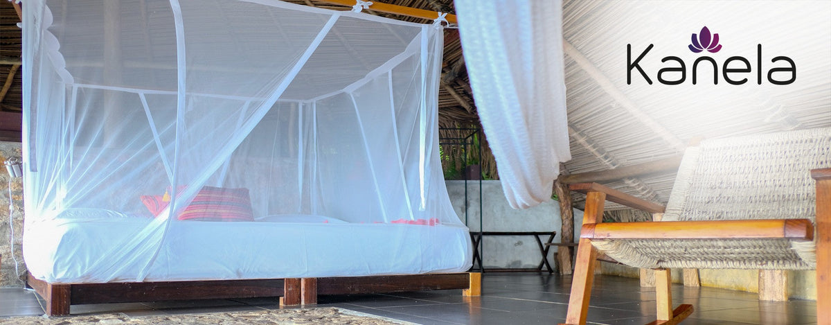 Wo sich Stechmücken verstecken