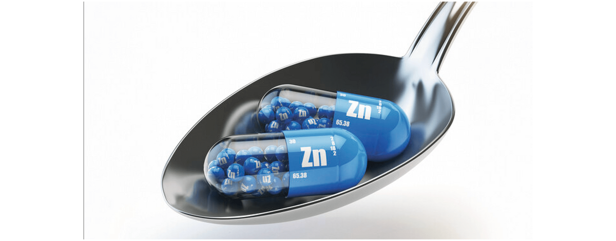 Zink – das lebenswichtige Spurenelement