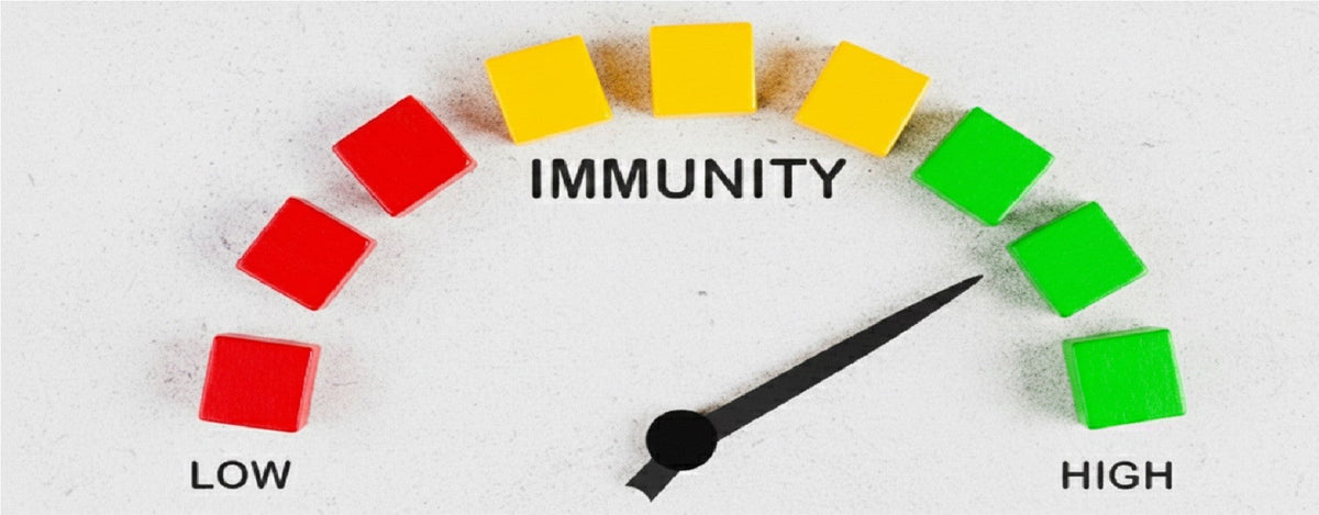 Immunsystem stärken: Natürliche Wege für mehr Abwehrkraft