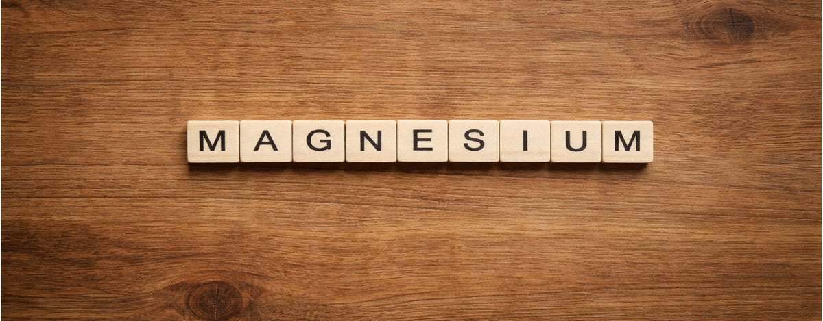 Magnesium Glycinate vs. Magnesium Citrat – welches Magnesium passt zu dir?