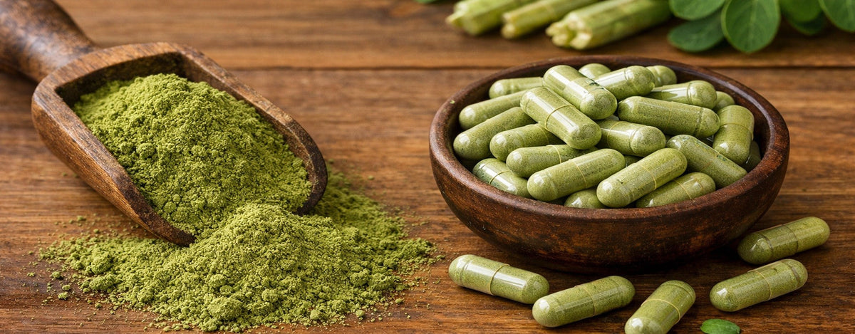 Moringa Wirkung: Vorteile, Anwendung und warum es als Superfood gilt