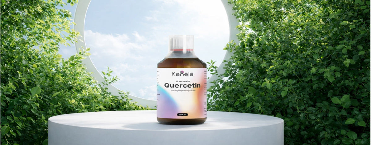 Quercetin als starkes Antioxidans – warum liposomale Formen besonders effektiv sind