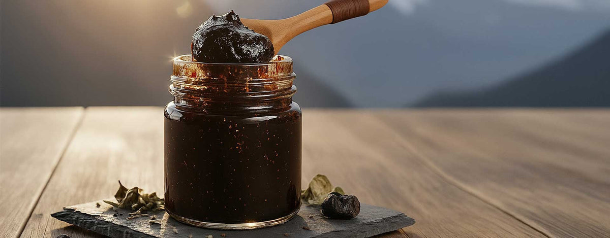 Was ist Shilajit? Ursprung, Wirkung und Anwendung des „Bergschweißes“