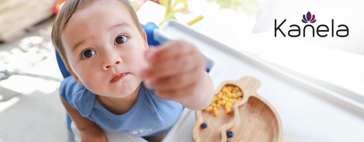 Das grosse Snacken: Wenn Ihr Baby knabbern möchte