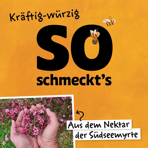 SONNENTOR Manukahonig Bio (250g)