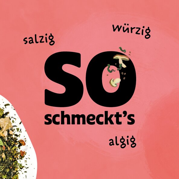 SONNENTOR Asian Sprinkle Gewürz (50g)