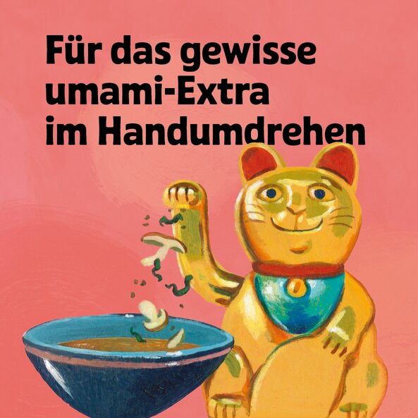 SONNENTOR Asian Sprinkle Gewürz (50g)