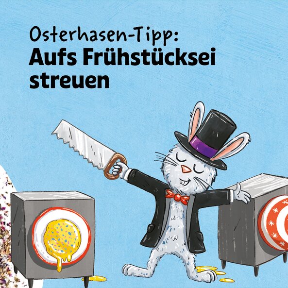 SONNENTOR Meister Lampes Blütensalz Bio (90g)