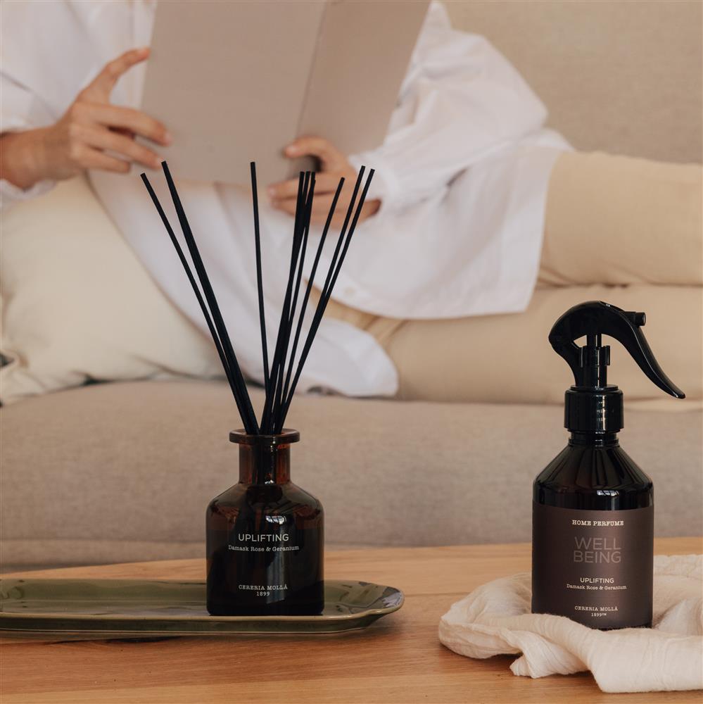 Cereria Mollá Wellbeing Uplifting Duftstäbchen (120ml) Ambiente