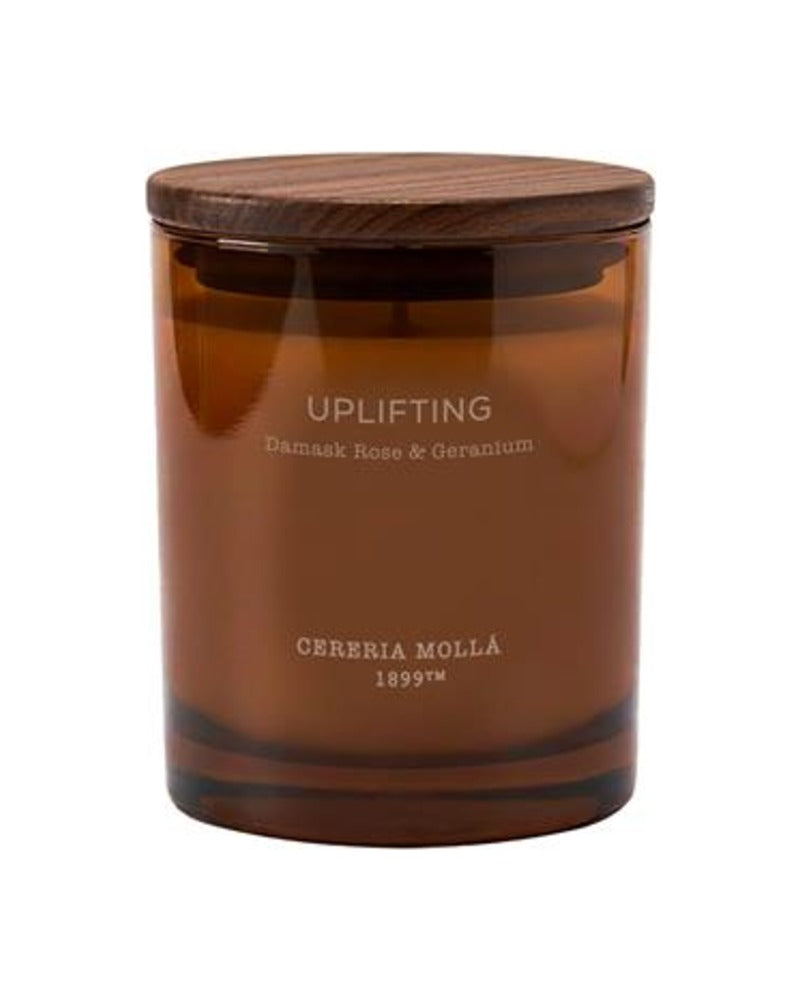 Cereria Mollá Wellbeing Uplifting Candela profumata (230g)