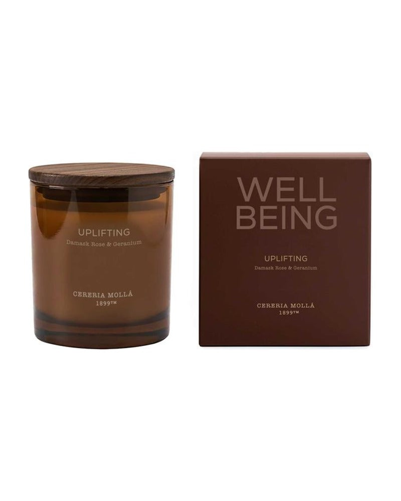 Cereria Mollá Wellbeing Uplifting Candela profumata con 2 stoppini (370g) con confezione